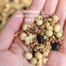 착한떡방아 이미지