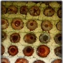 흙집 민박 이미지