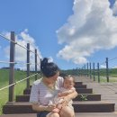 해인목장 | #서산여행 #서산가볼만한곳 “서산 한우목장 웰빙산책로” 다녀온 후기