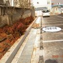 고창시장 이미지
