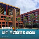 부영카정비공업사 | [호텔] 부영리조트 제주 중문 디럭스 트윈베드룸 숙박후기