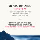 발레컬 나의 어린왕자이야기 이미지