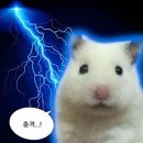 (주)한국제일안전의료사업부 | 안전한 치약 선택 하는 팁