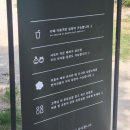 솔카페 | [경주 대릉원카페] 황리단길 한옥 카페, 카페솔 솔직 후기 ☘️ (애견동반 가능)