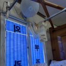 바툼낭의원 이미지