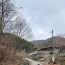 숲속의 돌담 이미지