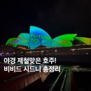 직접 다녀온 2025 비비드 시드니 불꽃놀이 일정 축제 명당 꿀팁 총정리