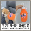 쿠쿠키키상점 강아지 여름옷 추천! 포메라니안 꼬미가 입어본 쿨링 나시 후기