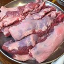 황소주차장 화장실 | 청주 비하동 맛집 황소처럼 참숯 통갈매기살 내돈내산 솔직후기