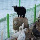 춤추는마을기업 이미지