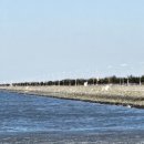 원정초등학교 이미지