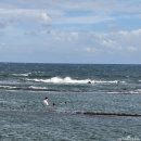 논짓물 | 제주 스노쿨링 스팟, 예래논짓물 해수욕장 다녀온 후기 | 물빛에 반한 숨은 명소