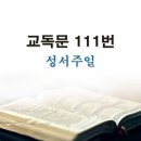 새교독문 111번 PPT 파워포인트(다른타입) _ 성서주일 이미지