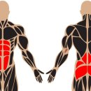 바디피티 이미지