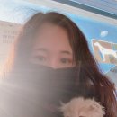 해피올동물병원 이미지