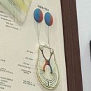 레몬트리 안경콘택트 네이버블로그