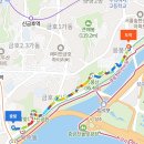 응봉개나리어린이공원 | 서울 개나리 봄꽃 명소 달맞이공원 응봉산 응봉공원