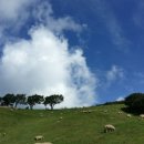 아담목장 이미지