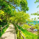 현지인도 반한 요즘 뜨는 국내 여행 코스 추천 이미지