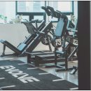 이볼브 트레이닝 이미지