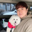 펫택시 | 일반 택시 강아지 대신 말순이네 펫택시 추천 후기