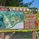 연수구 장미공원 앞 이미지