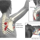 PT의 정석 운동재활센터 이미지