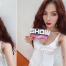 베베하루 이미지