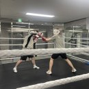 판교더복싱 이미지