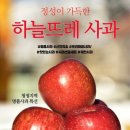 롯데마트 제천점 뉴시스