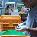 묵산농장 이미지