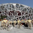 stadium of dogs 이미지