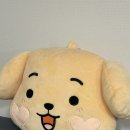 이앤디컴퍼니 - 고양시 일산동구 중앙로1275번길 38-31 | 이앤디컴퍼니