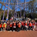 용인대 맑은아침 태권도 이미지