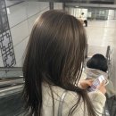 드림스헤어 | 부산 애쉬브라운 염색 고수 * 혜진쌤 *( 웜/쿨 안타는 톤다운 염색 컬러 추천)