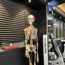 팀하드 피티 이미지