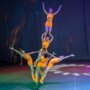 제주아트 서커스 이미지