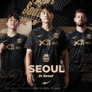 홈인서울