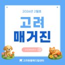 큰산메디칼 | [KAMC MAGAZINE ] 고려매거진 │2월의 고려동물메디컬센터 몰아보기!