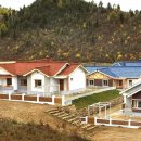 대덕농장 이미지