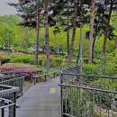 봉제산 책쉼터 이미지