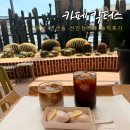 관도니 | 부산 이색 대형카페 추천 연산동 선인장 카페 칵터스 아기랑 방문 솔직후기