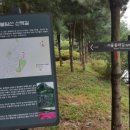 초롱박카페
