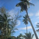 다섬당구장 이미지