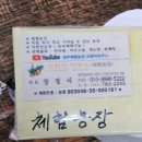 오렌지 농장 | 제주 감귤농장직판장 추천 : 오렌지하우스 무조건 여기로