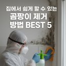 강건클린