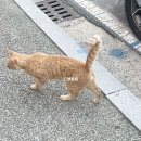 봉동상회