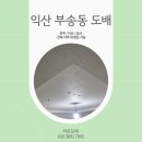 부송동아2단지 | 익산도배 부송오투그란데 40평 전체디아망도배 후기