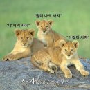 세강목욕탕 | [교토·오사카여행]DAY3 드디어 오사카 !