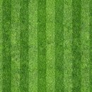 모어그린 이미지